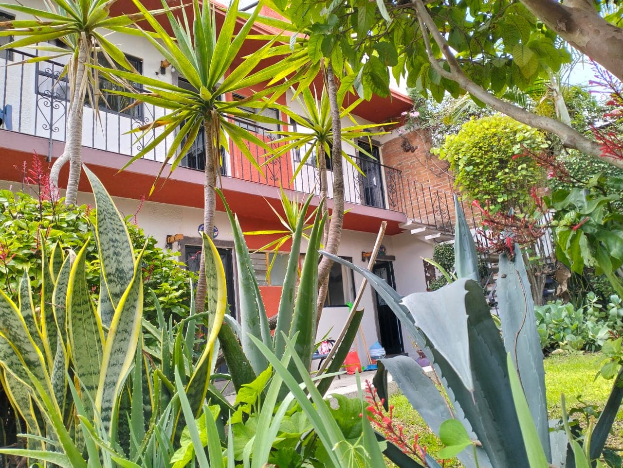 Bungalows La Era imagen 4