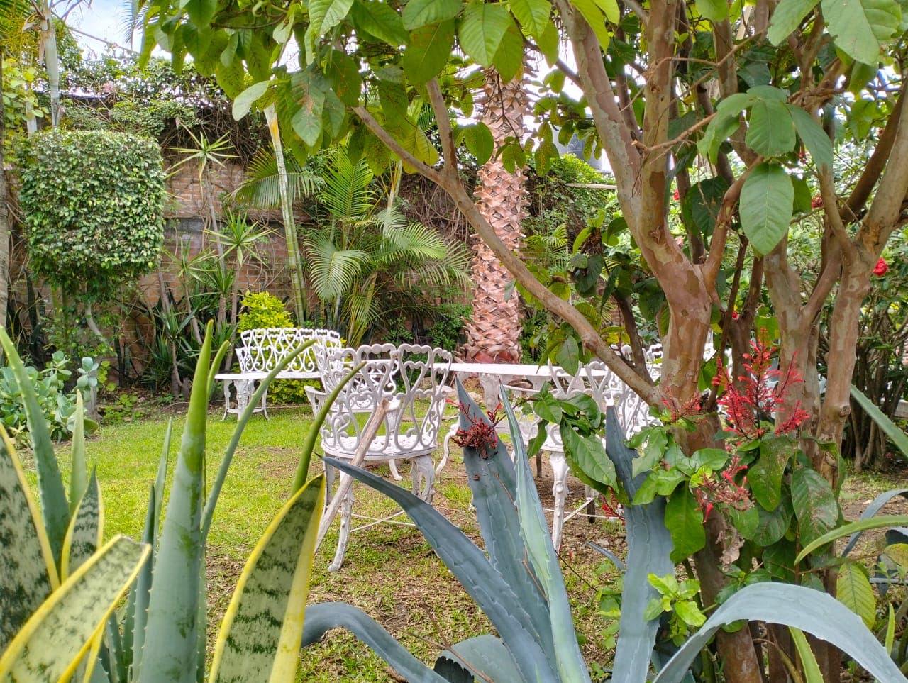 Bungalows La Era imagen 15